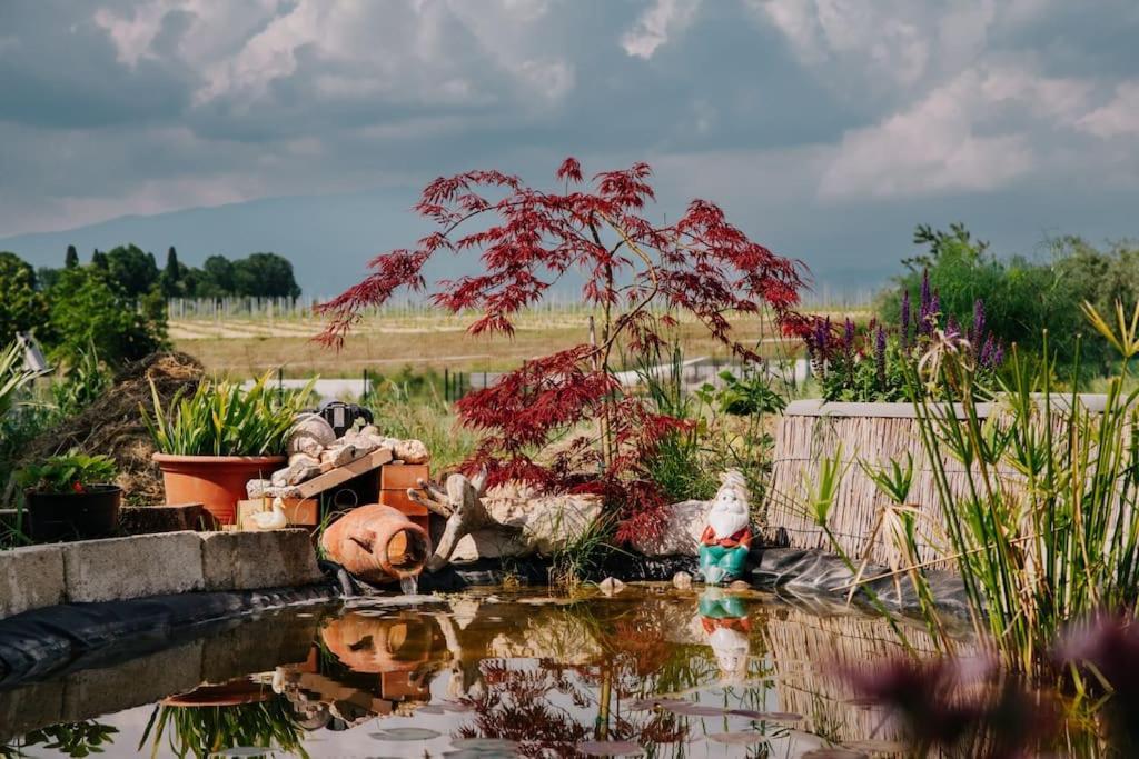 Country Apartment, Near Bardolino And Lazise Calmasino 외부 사진