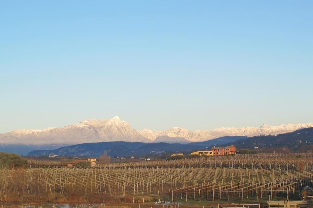 Country Apartment, Near Bardolino And Lazise Calmasino 외부 사진